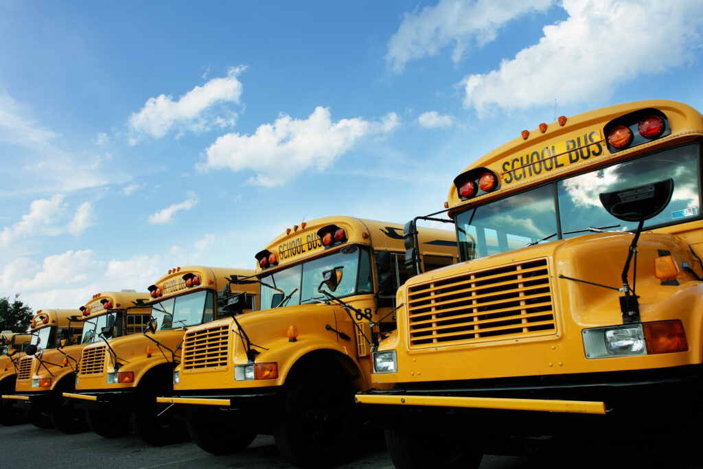 School bus fleet lined up.